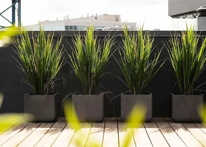 Korter W Uus-hollandi With Sauna