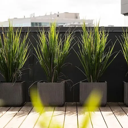 アパート W Uus-hollandi With Sauna